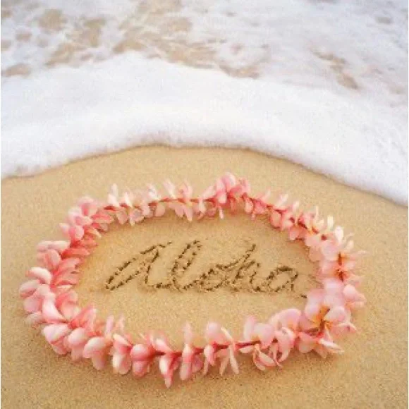 COPY - Meet your Posher, Lori - Picture 9 of 15